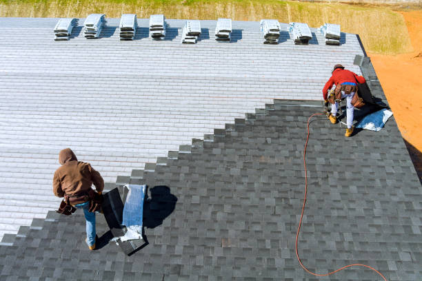 Best Roof Repair Services  in Hillandale, MD